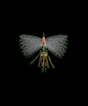 Corpsefly.png