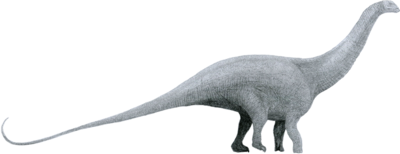 Brontosaurus via Wiki Commons by Tom Parker