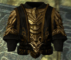 Battlecaster's Robes.png